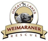 Great Lakes Weimaraner Rescue, Inc.