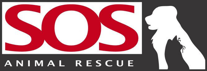 SOS Animal Rescue