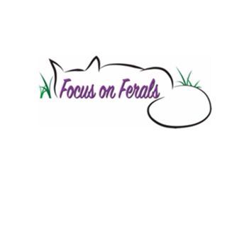 Focus on Ferals