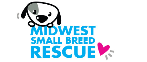 small dog rescue midwest