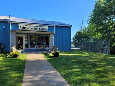 Mason County Animal Control