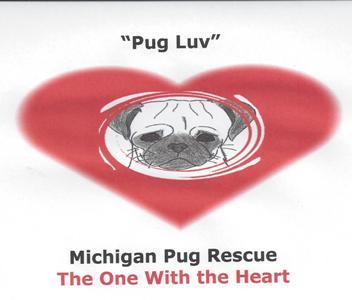 Pets For Adoption At Michigan Pug Rescue In Farmington Mi Petfinder