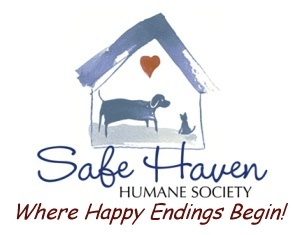 Safe haven humane shelbyville in humane society