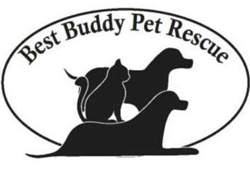 Best Buddy Pet Rescue