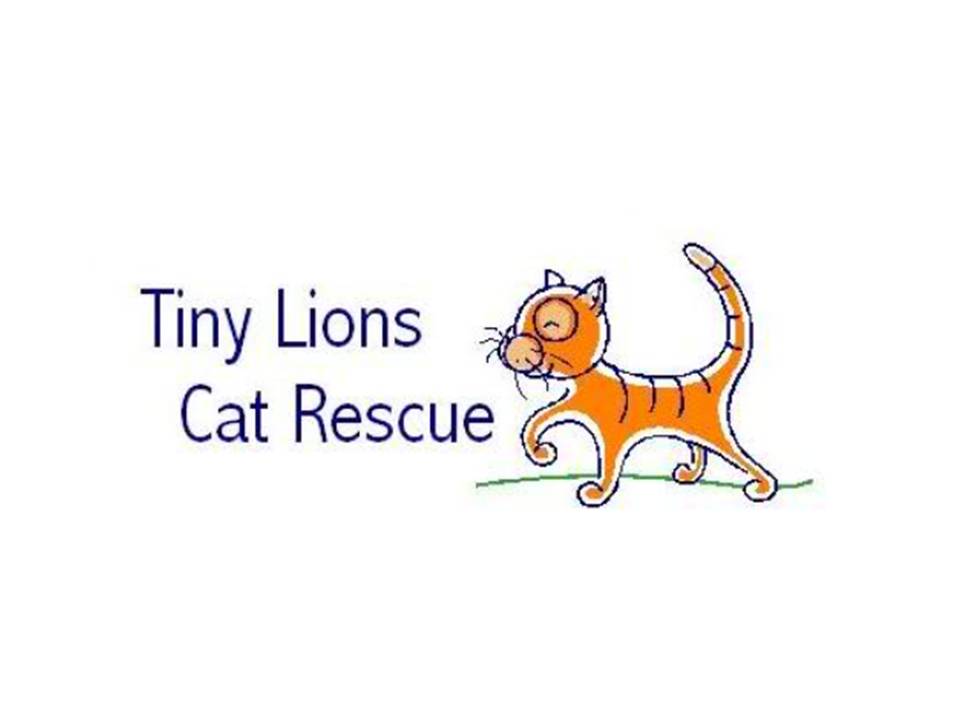 Tiny Lions Cat Rescue