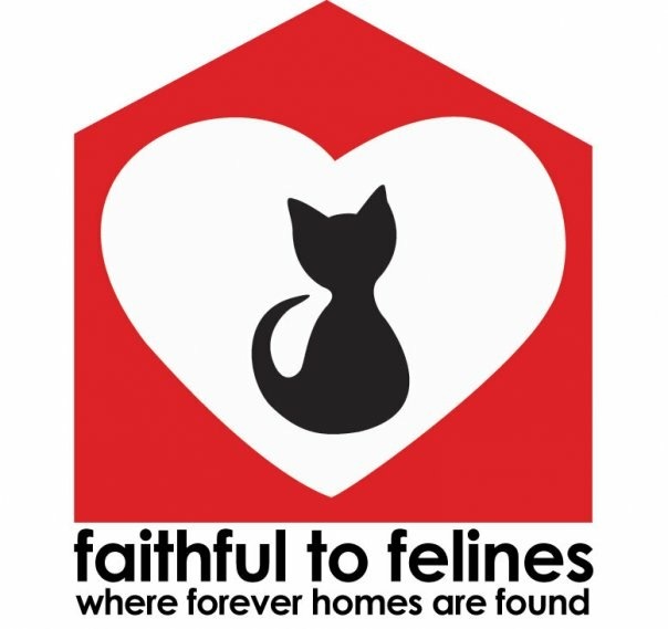 Faithful to Felines