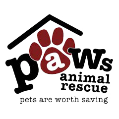 Paws Rescue