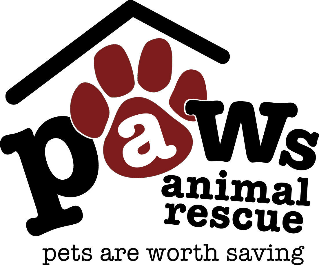 Paws Rescue