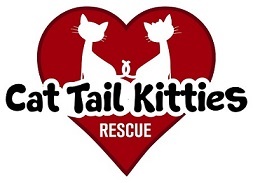 Cat Tail Kitties Rescue, in Macomb, MI 