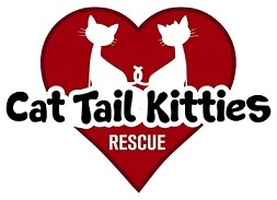 Cat Tail Kitties Rescue