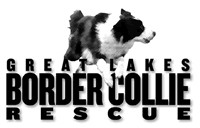 Great Lakes Border Collie Rescue, Inc.