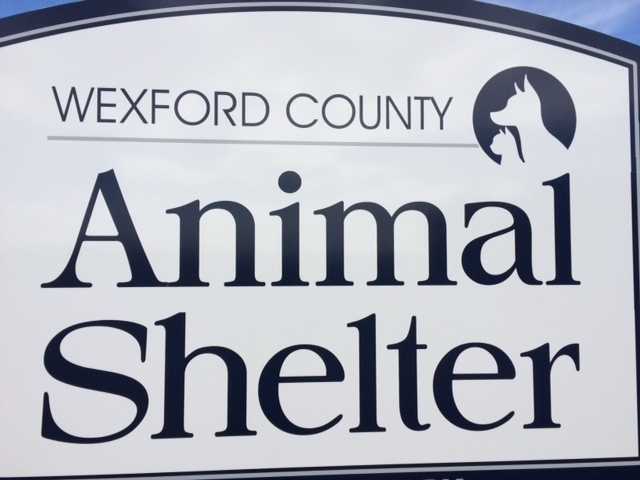 Wexford County Animal Shelter
