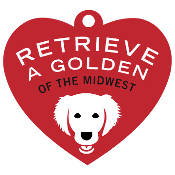 Retrieve a Golden of the Midwest