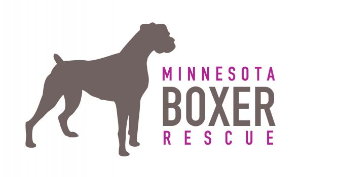 Minnesota Boxer Rescue