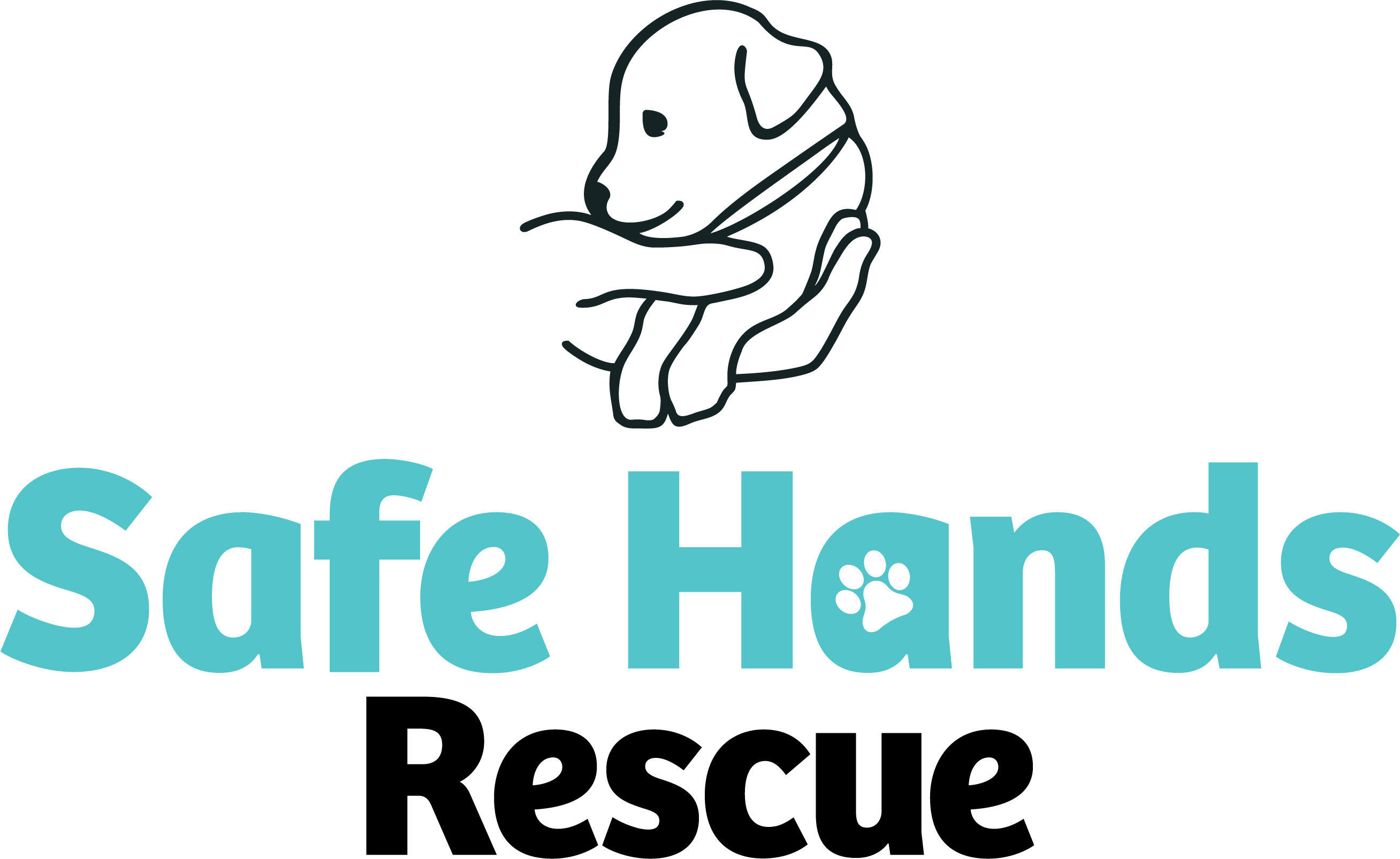 Pets For Adoption At Safe Hands Animal Rescue In Minneapolis Mn Petfinder