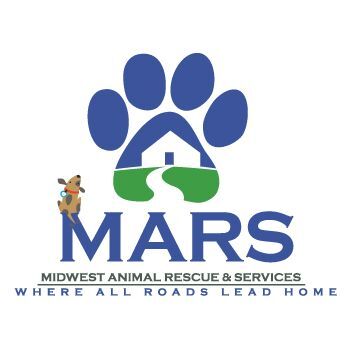 Pets for Adoption at Midwest Animal Rescue Services, in Minneapolis, MN |  Petfinder