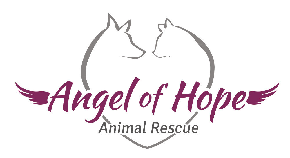 Pets for Adoption at Angel of Hope Animal Rescue, in Anoka, MN Petfinder