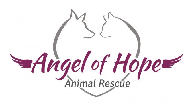 Angel of Hope Animal Rescue