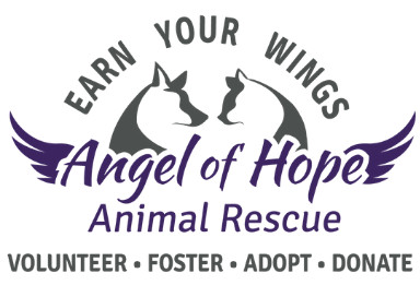 Angel of Hope Animal Rescue