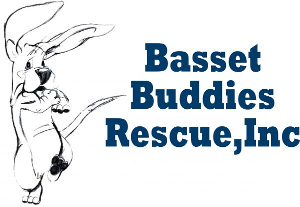Basset Buddies Rescue