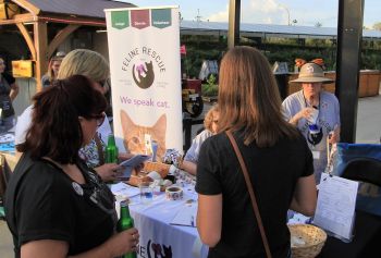 Feline Rescue booth at Cat Video Festival 2017