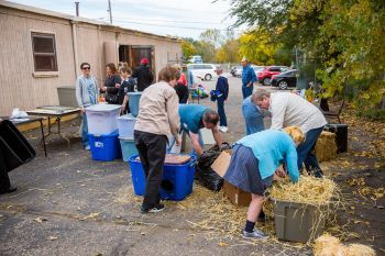 Making cat shelters at 2017 Community Cat Day