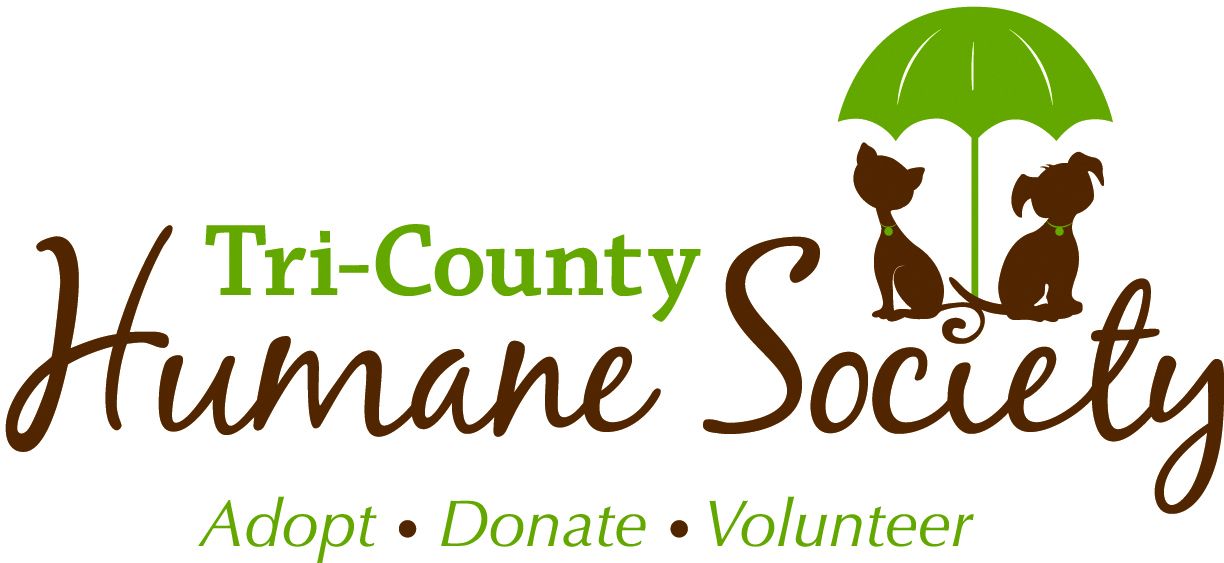 Tri county humane society hot sale cats