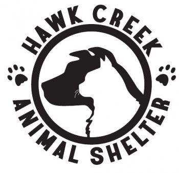 Pets for Adoption at Hawk Creek Animal Shelter, in Willmar, MN | Petfinder