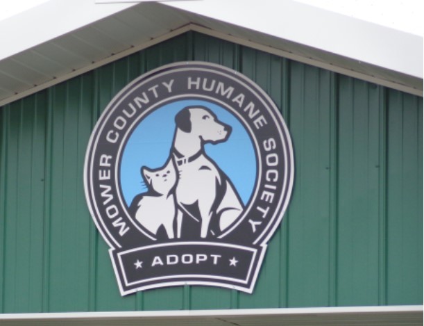 Pets for Adoption at Mower County Humane Society, in Austin, MN | Petfinder