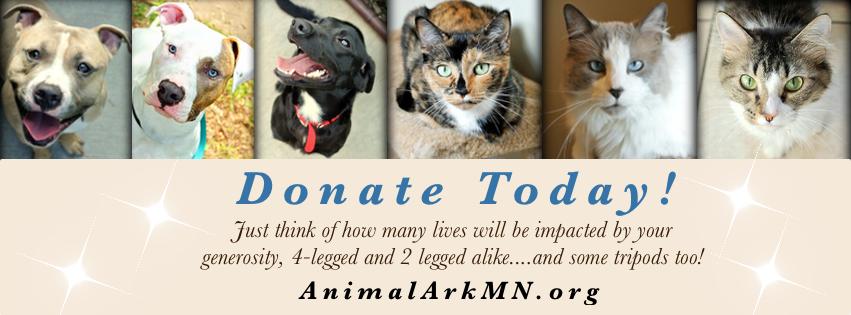 Pets for Adoption at Animal Ark, in Hastings, MN | Petfinder