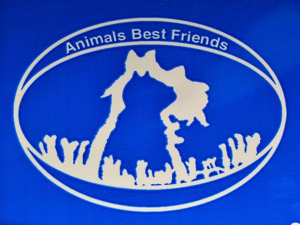 Animals Best Friends