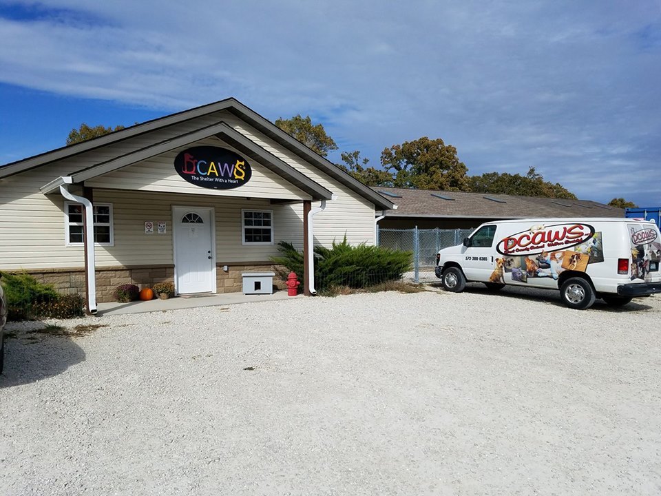 Pets for Adoption at Dent County Animal Welfare Society ...