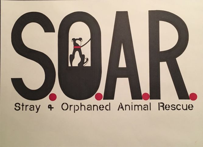 SOAR-Stray and Orphaned Animal Rescue