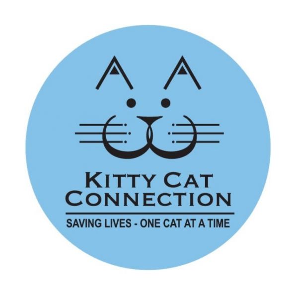 Kitty Cat Connection