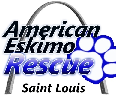 American Eskimo Rescue St. Louis