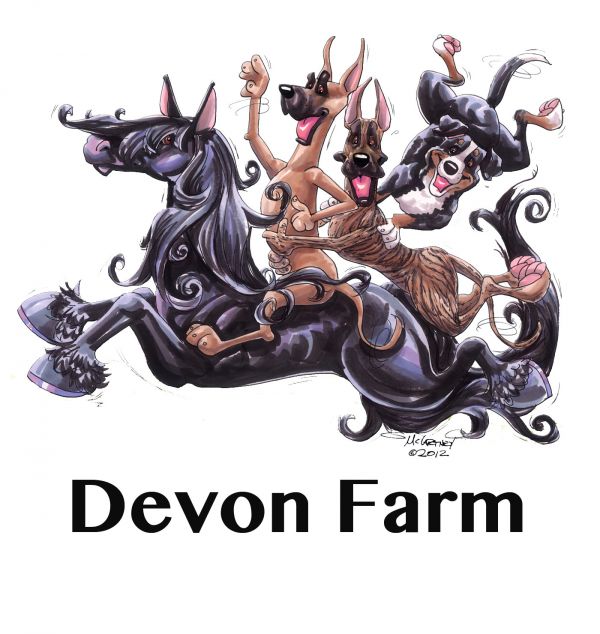 Devon Farm Rescue