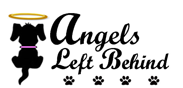 Angels Left Behind