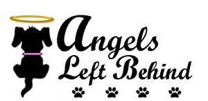 Angels Left Behind