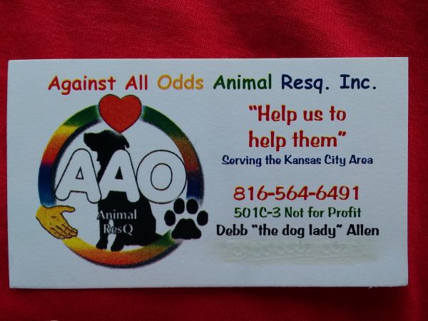Against All Odds Animal ResQ, Inc.