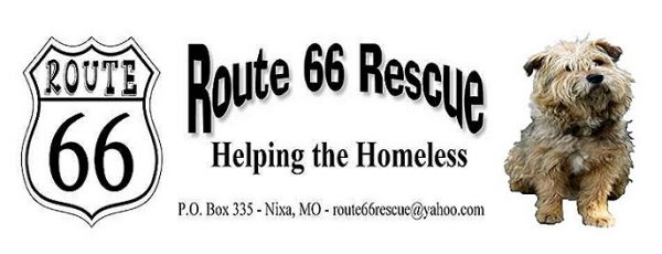 Route 66 Rescue Inc.