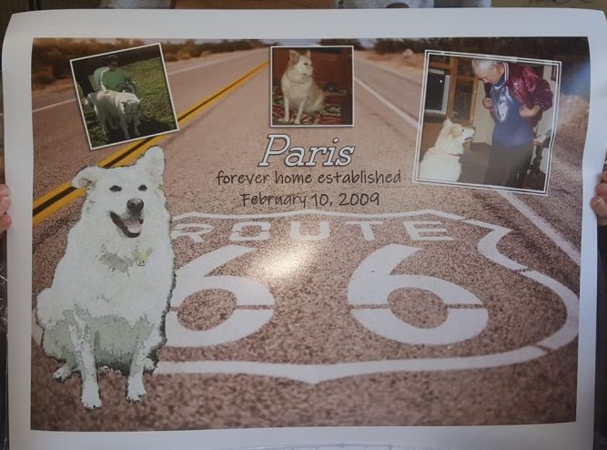 Route 66 Rescue Inc.