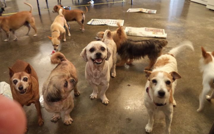 Posing at the Center