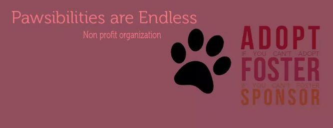 Pawsibilities Are Endless