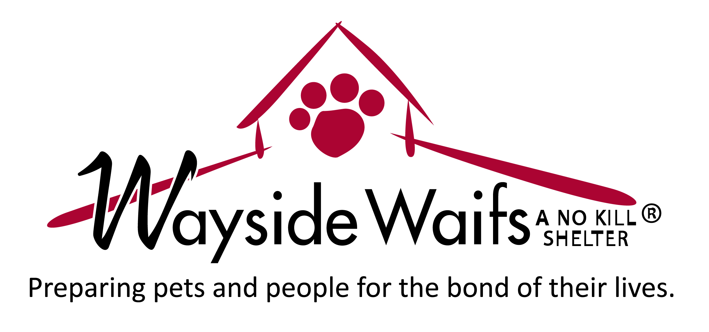 Wayside best sale waifs cats