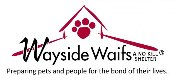 Wayside Waifs Animal Shelter