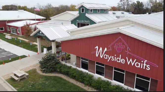 Wayside Waifs Animal Shelter