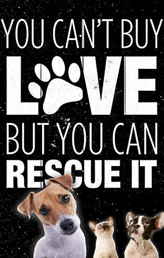 Carthage Humane Society