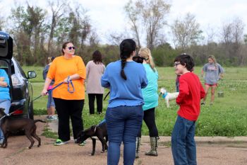 Volunteer hrs 10 - 12 every Saturday