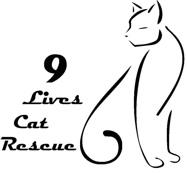 9 LIVES CAT RESCUE