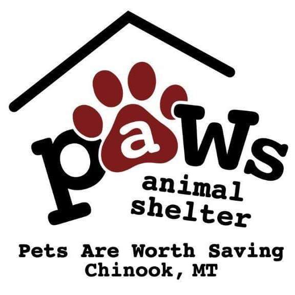 PAWS of Chinook